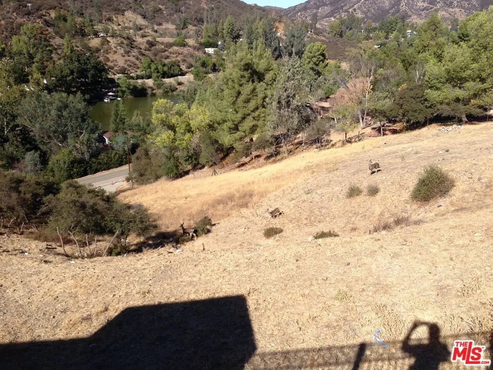 29282 CIRCLE DRIVE Agoura Hills, CA 91301