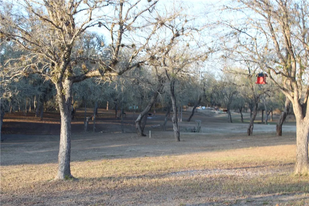 123 Choke Canyon Estates Three Rivers, TX 78071