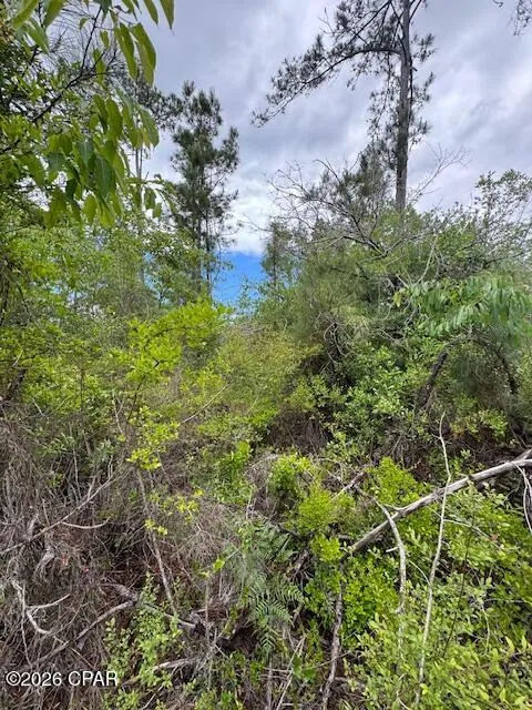 Pilgrim Rest Church Road Marianna, FL 32448