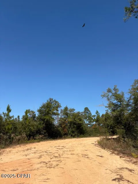 Southern Boulevard #Lot 27 Alford, FL 32420
