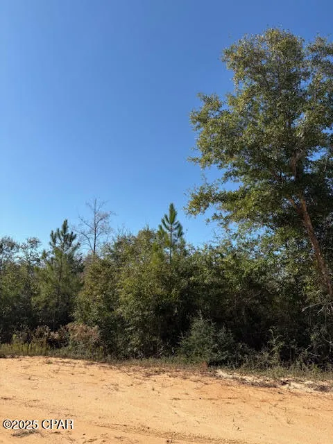 Southern Boulevard #Lot 27 Alford, FL 32420