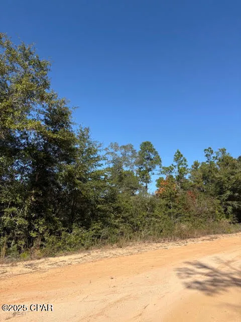 Southern Boulevard #Lot 27 Alford, FL 32420
