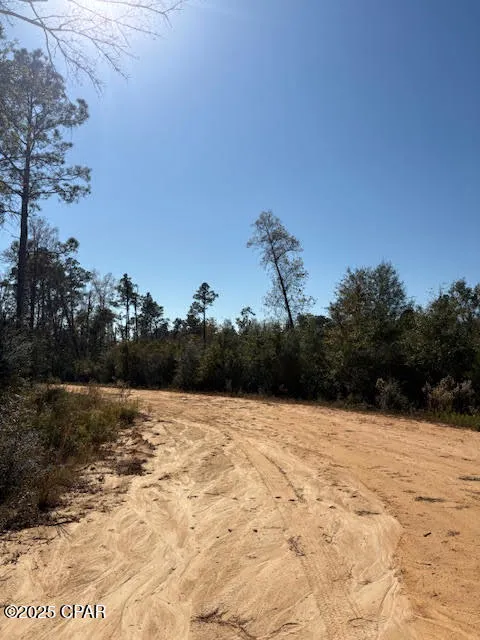 Southern Boulevard #Lot 27 Alford, FL 32420