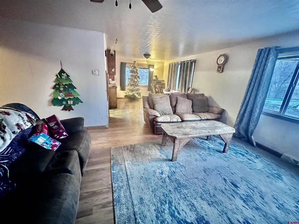 14211 Highway 65 Eckert, CO 81418