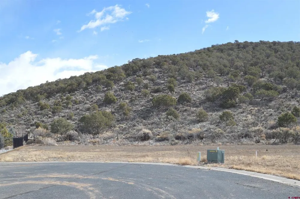 855 SE Pine Street Cedaredge, CO 81413