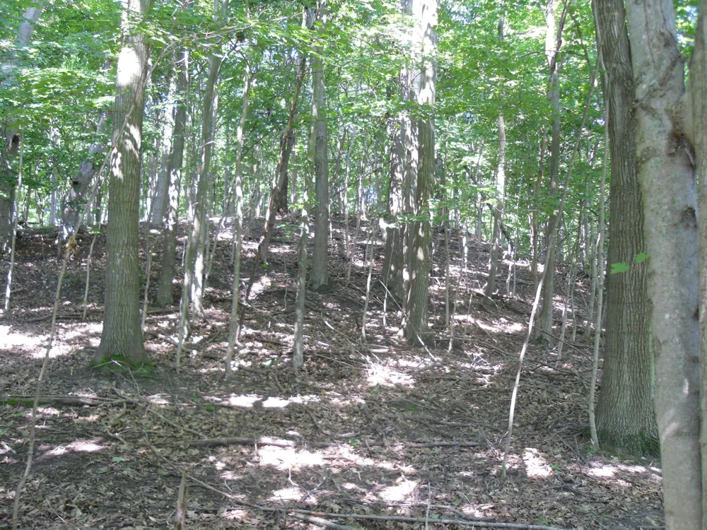 S Lakeshore Drive #26 Ludington, MI 49431