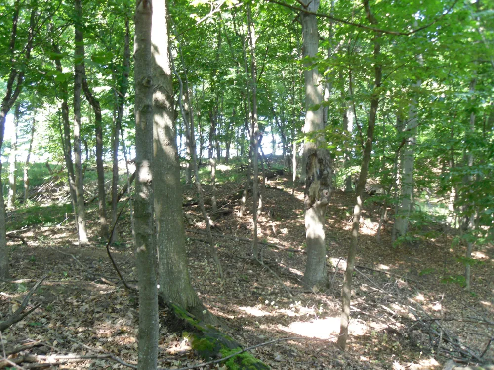 S Lakeshore Drive #26 Ludington, MI 49431
