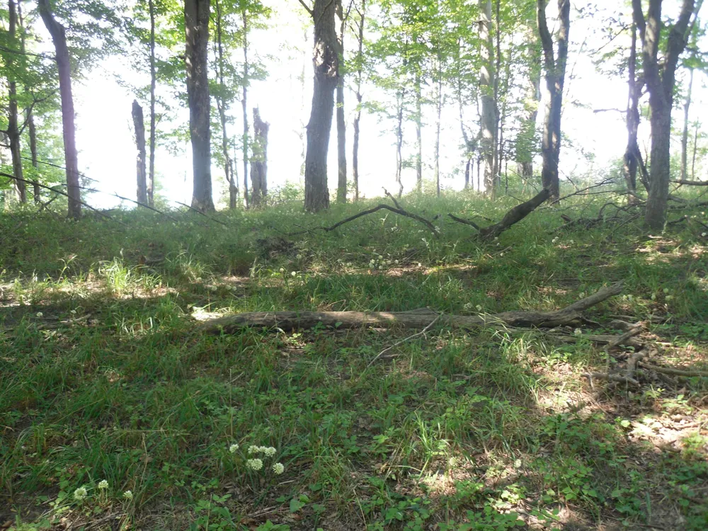 S Lakeshore Drive #26 Ludington, MI 49431