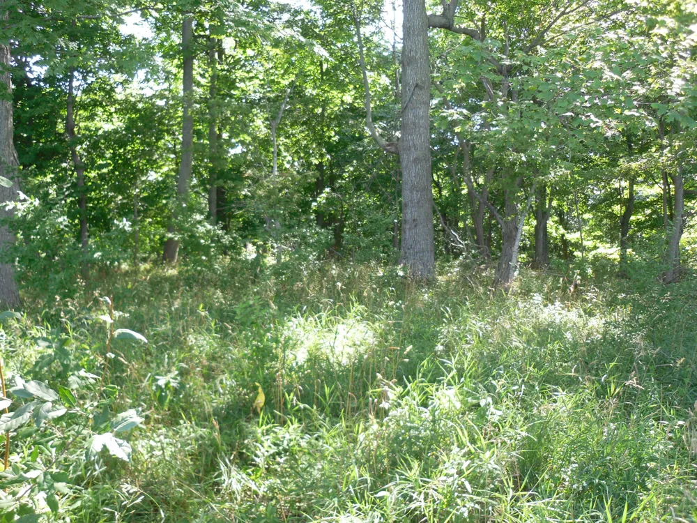 S Lakeshore Drive #26 Ludington, MI 49431