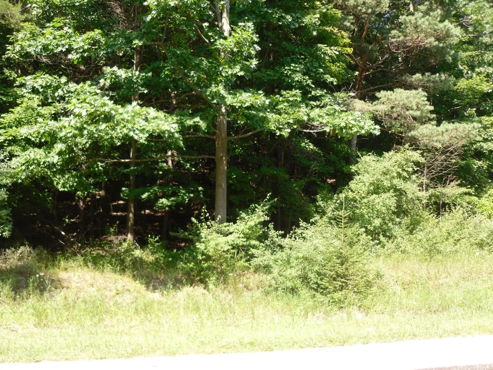 S Lakeshore Drive #26 Ludington, MI 49431