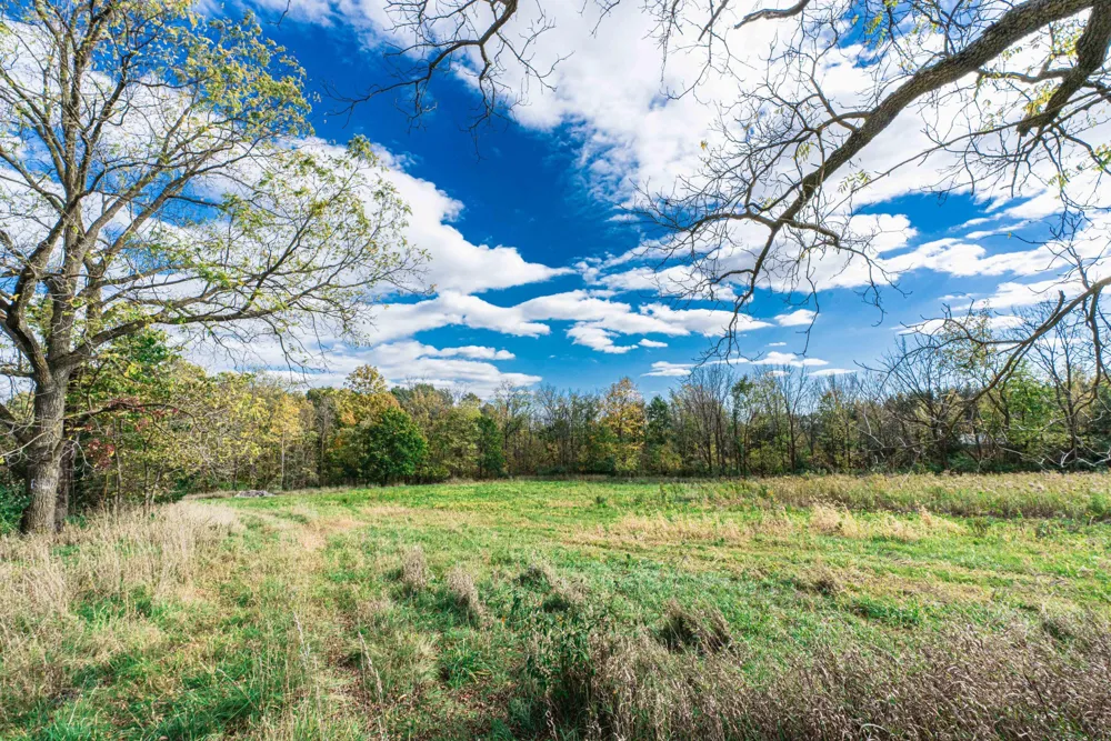 Macon Road Saline, MI 48176