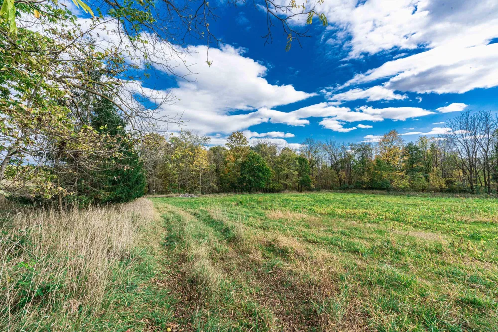 Macon Road Saline, MI 48176