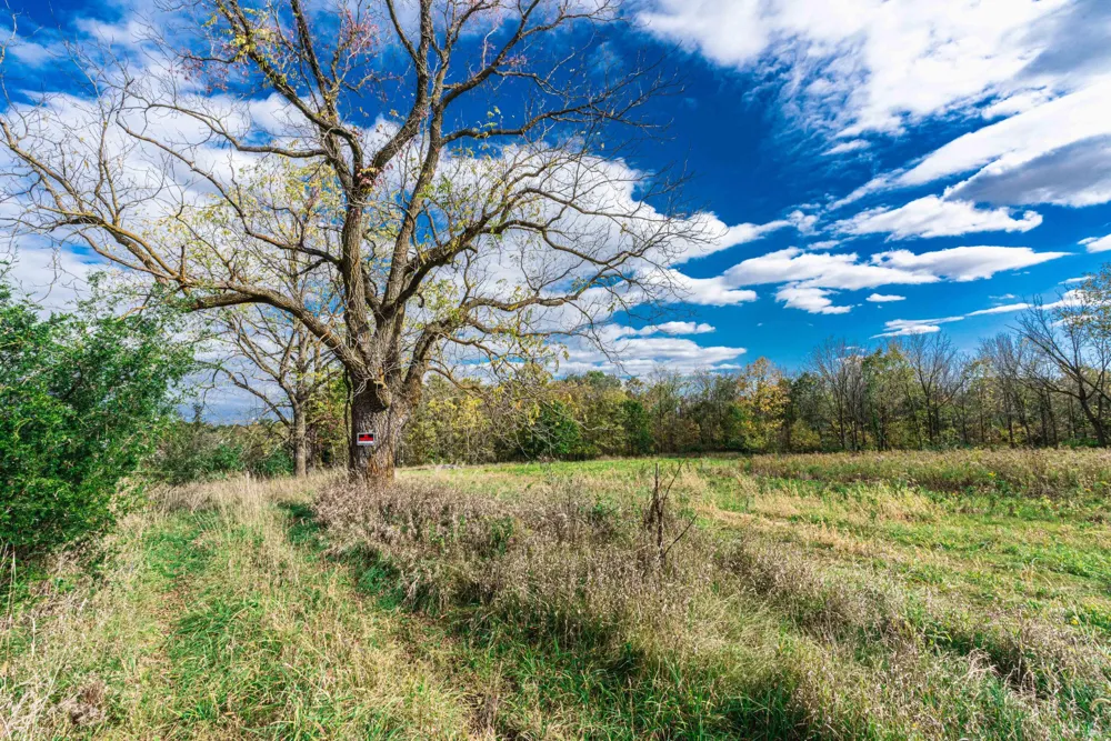 Macon Road Saline, MI 48176