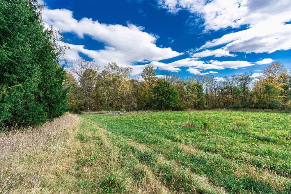 Macon Road Saline, MI 48176