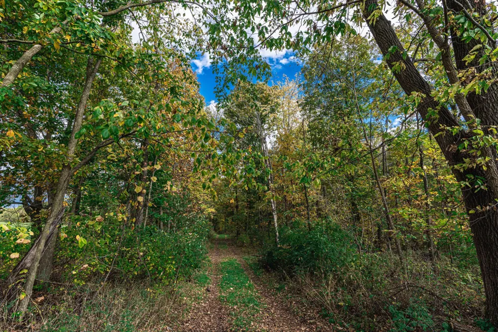 Macon Road Saline, MI 48176