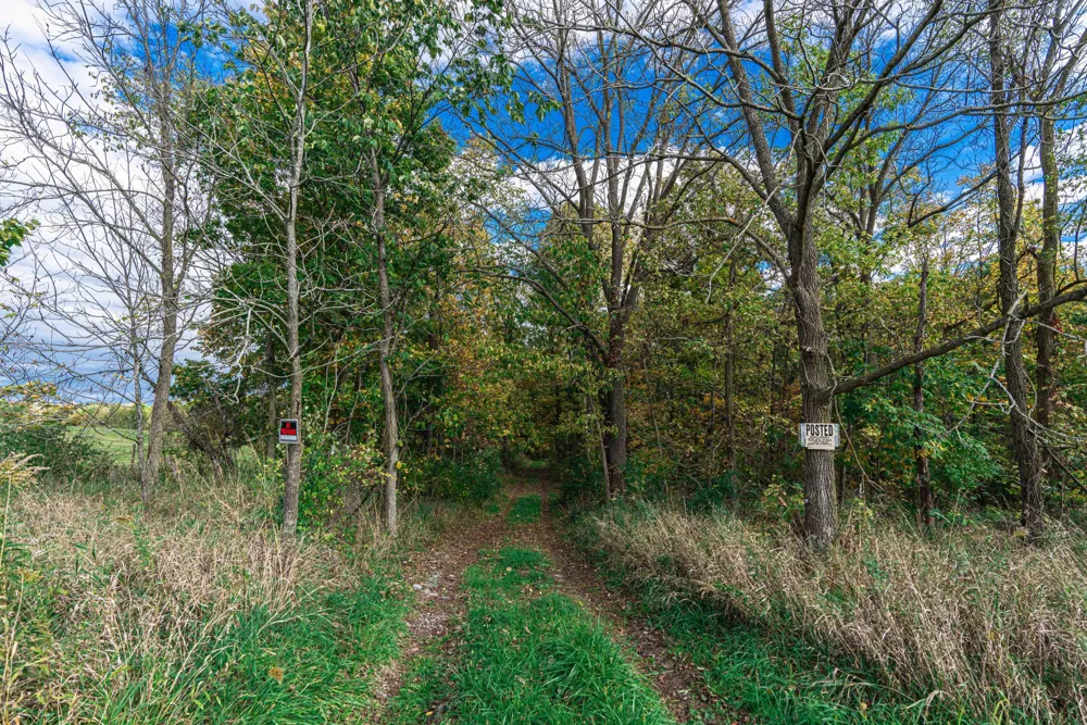 Macon Road Saline, MI 48176