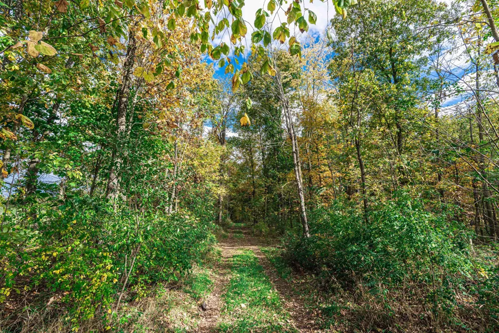 Macon Road Saline, MI 48176