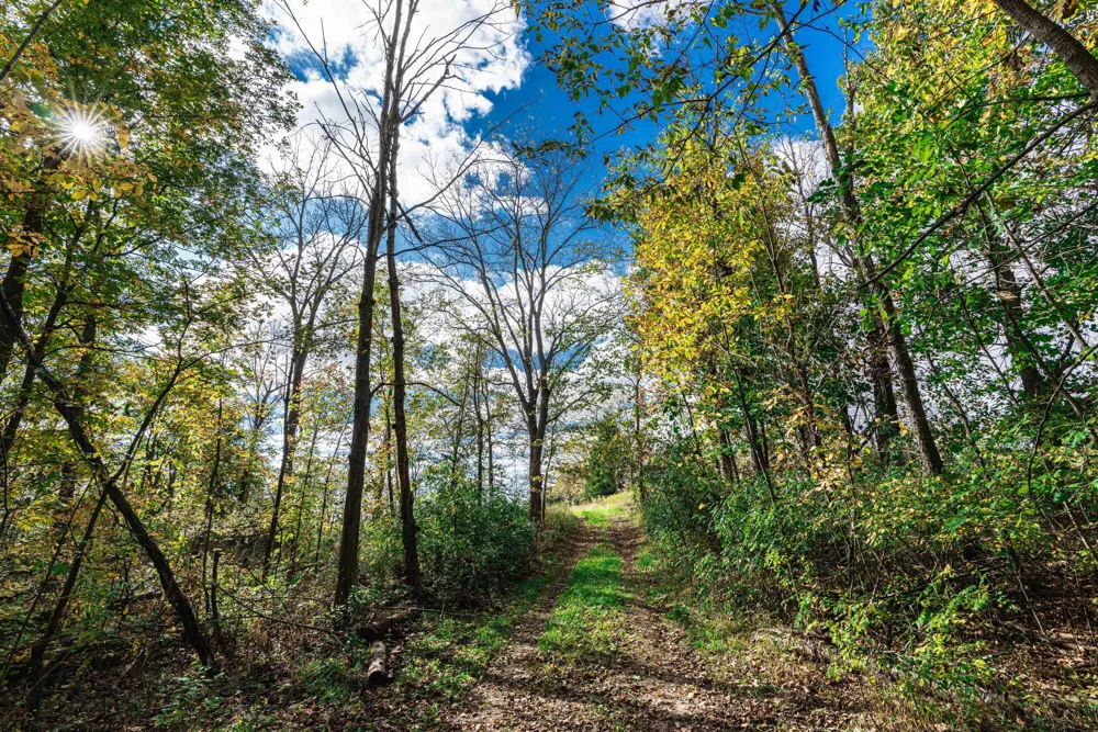 Macon Road Saline, MI 48176