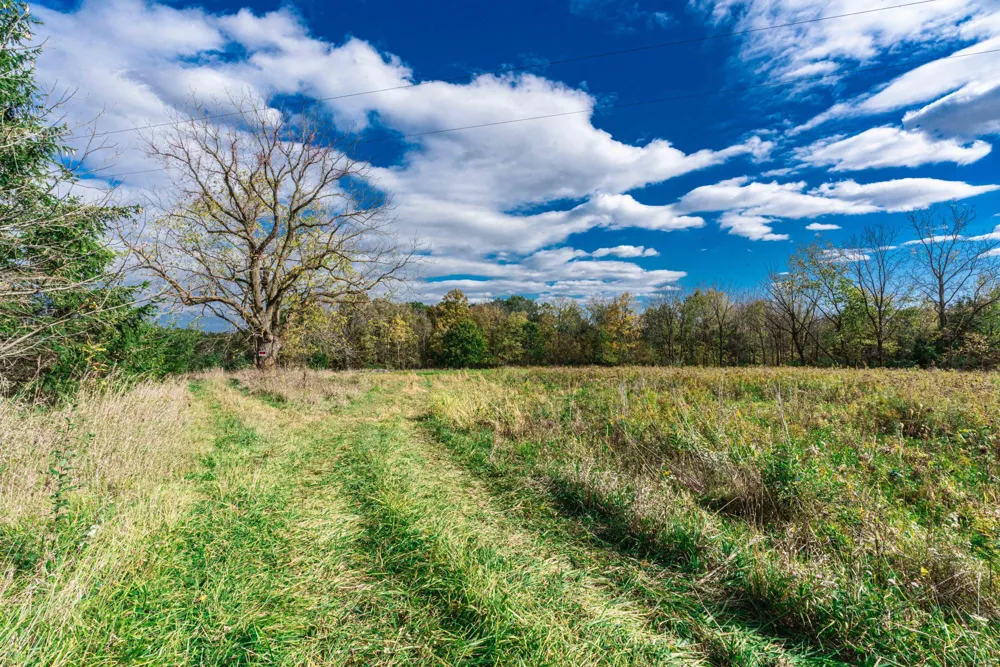 Macon Road Saline, MI 48176