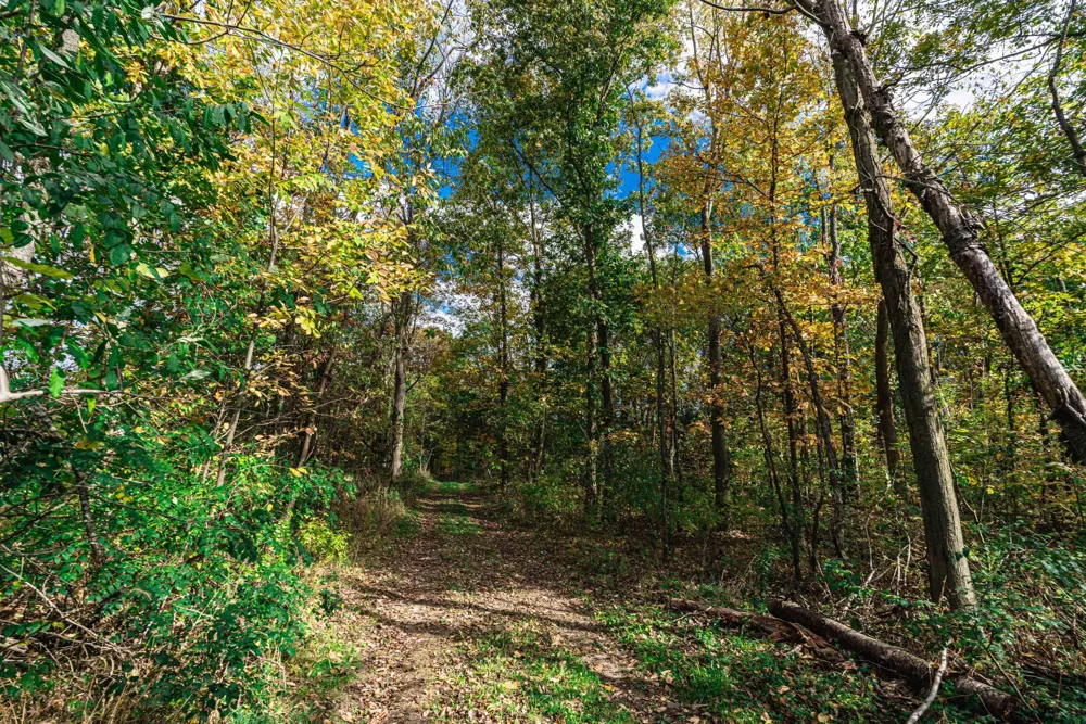 Macon Road Saline, MI 48176