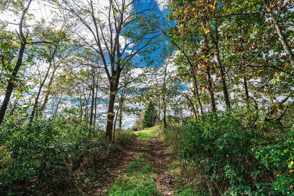 Macon Road Saline, MI 48176