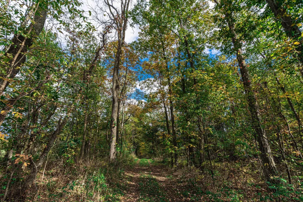 Macon Road Saline, MI 48176
