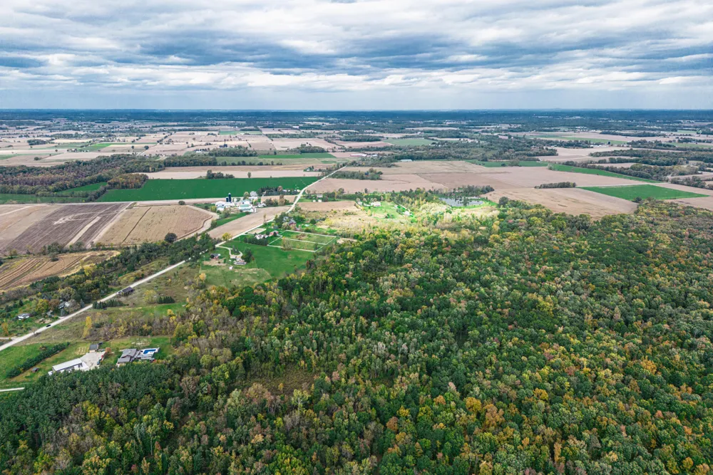 Macon Road Saline, MI 48176