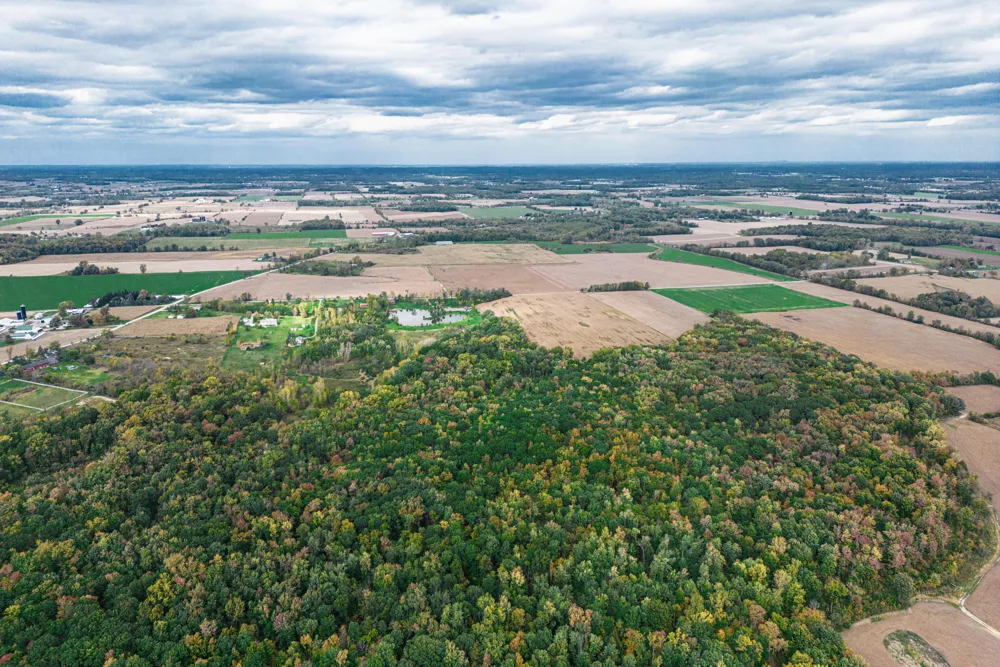 Macon Road Saline, MI 48176