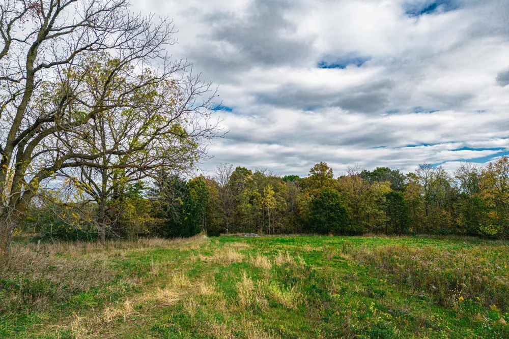 Macon Road Saline, MI 48176