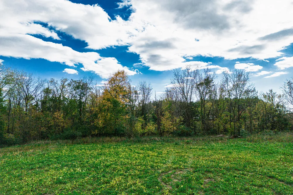 Macon Road Saline, MI 48176