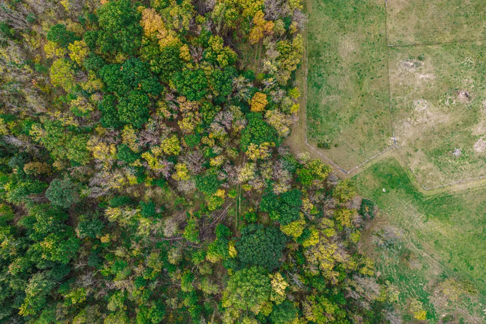 Macon Road Saline, MI 48176