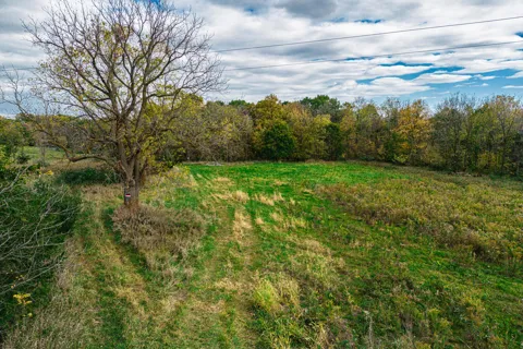 Macon Road
