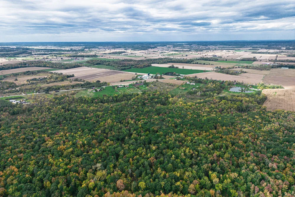 Macon Road Saline, MI 48176