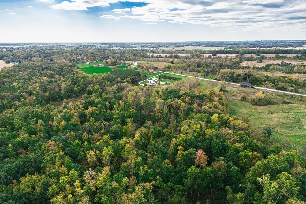 Macon Road Saline, MI 48176