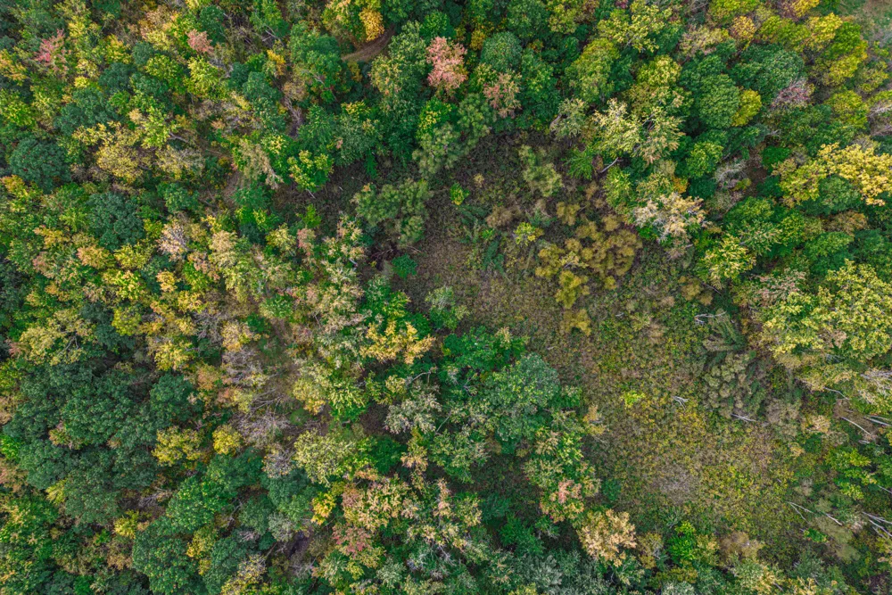 Macon Road Saline, MI 48176