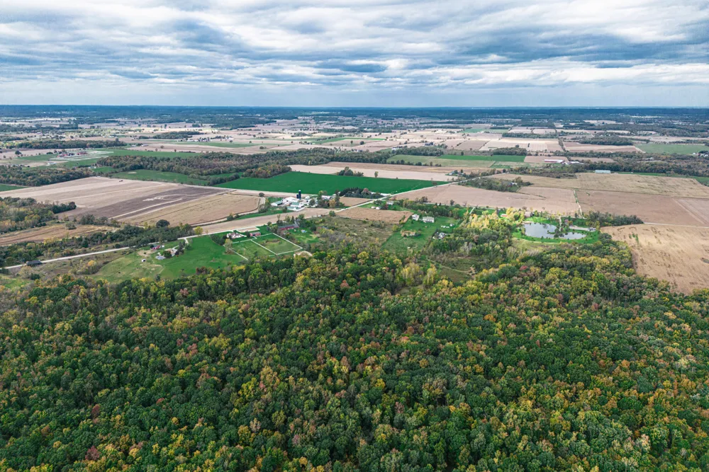 Macon Road Saline, MI 48176