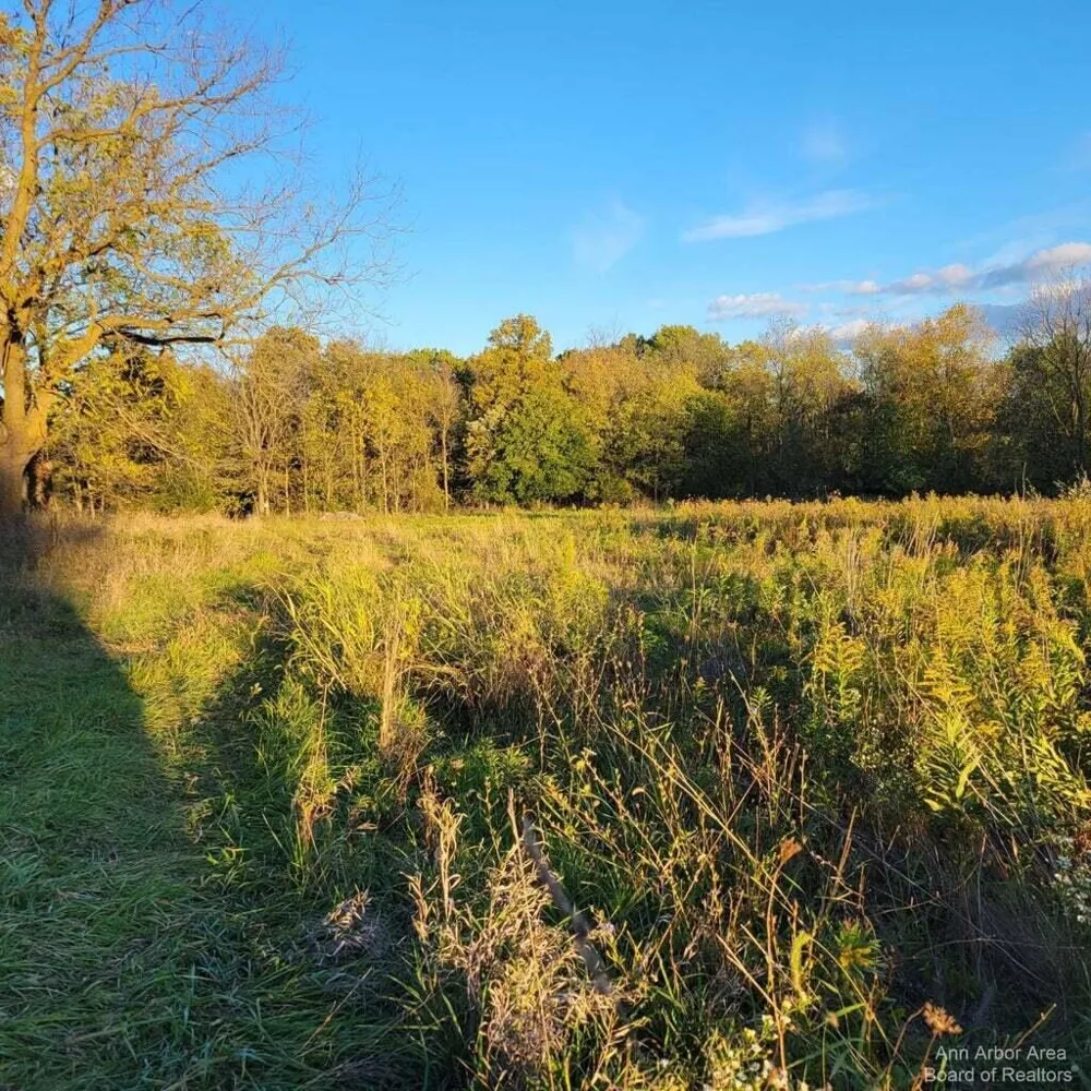 Macon Road Saline, MI 48176