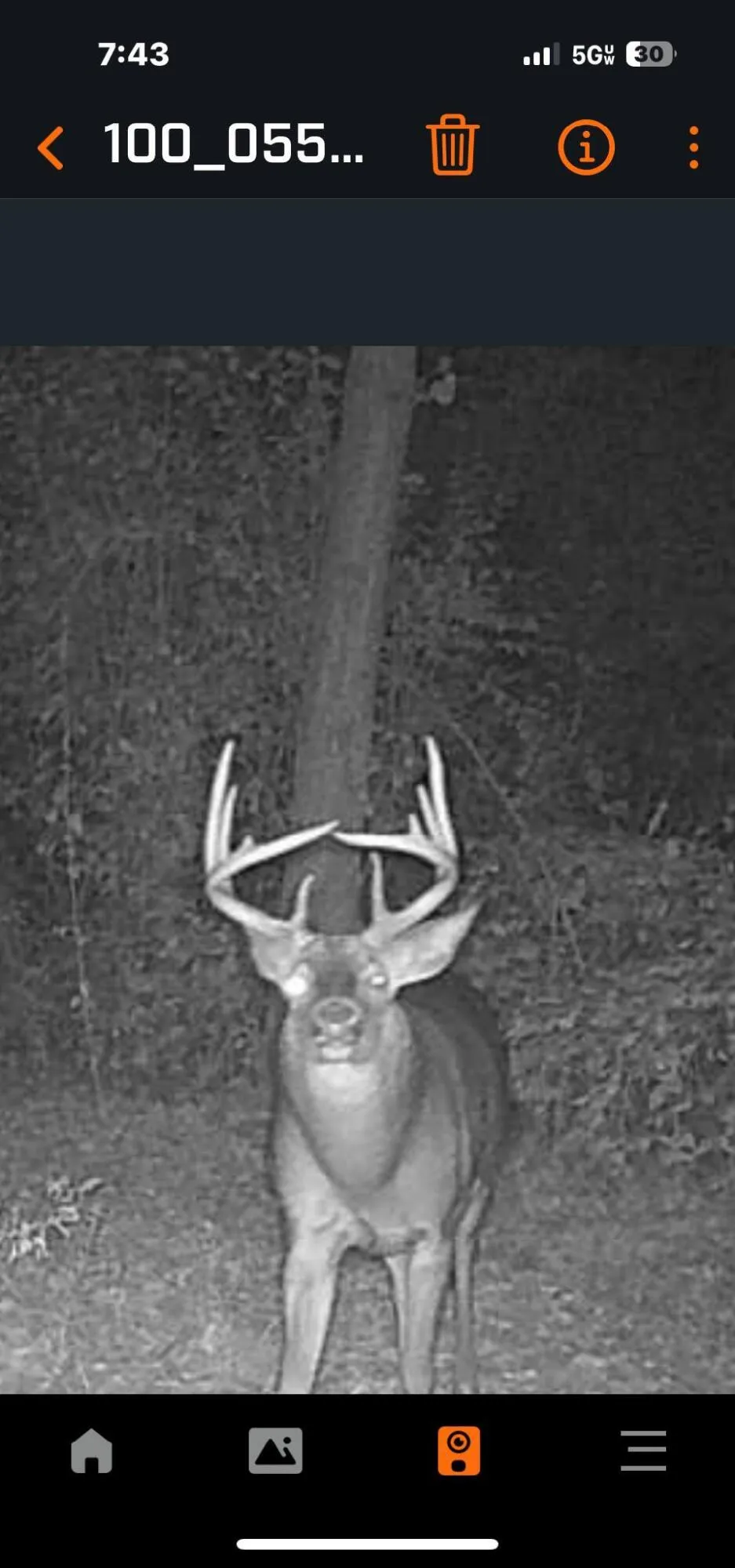 Macon Road Saline, MI 48176