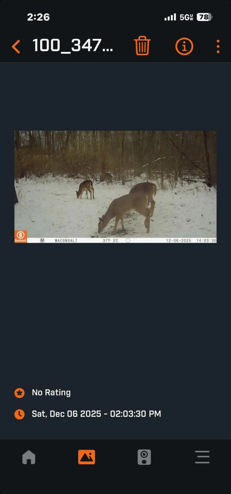 Macon Road Saline, MI 48176