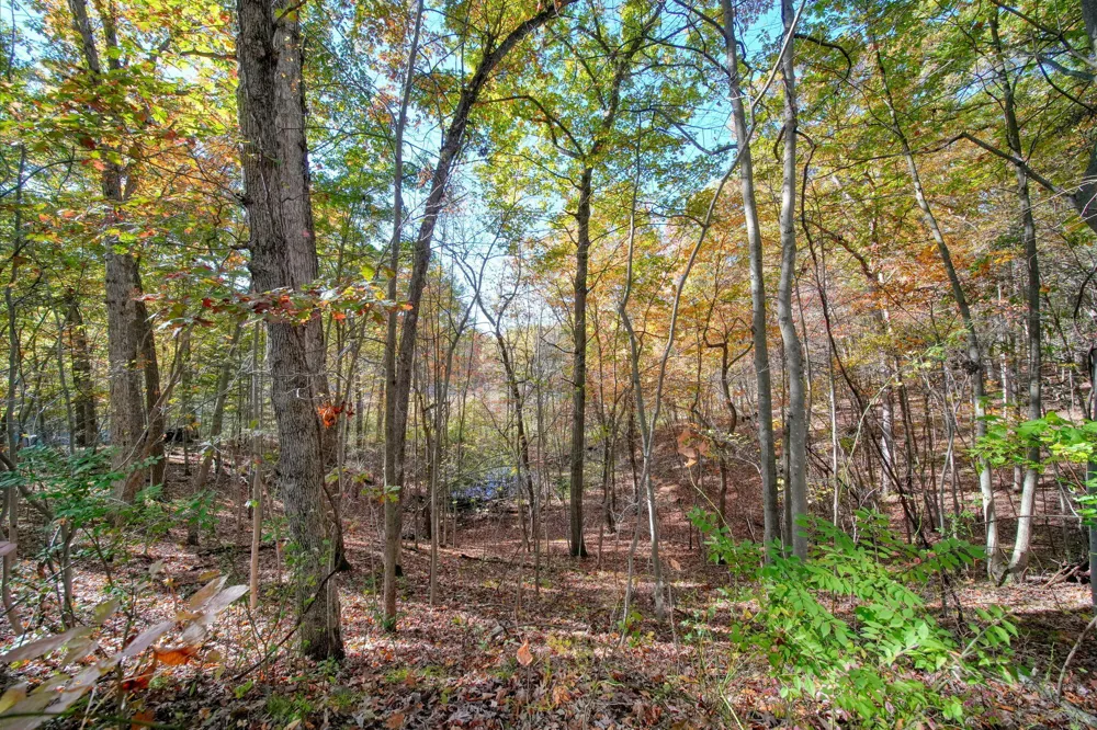 270 Wood Hills Drive Concord, MI 49237