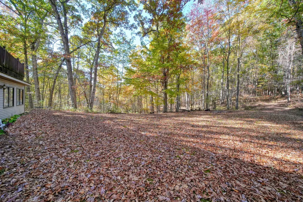 270 Wood Hills Drive Concord, MI 49237
