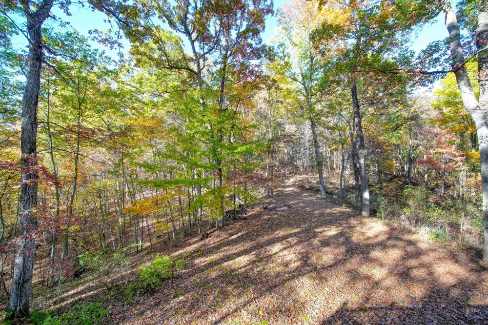 270 Wood Hills Drive Concord, MI 49237