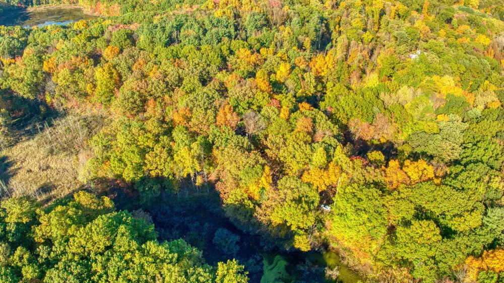 270 Wood Hills Drive Concord, MI 49237