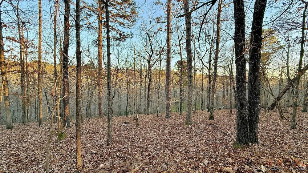 246 Red Fox Trail Kansas, OK 74347