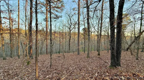 246 Red Fox Trail
