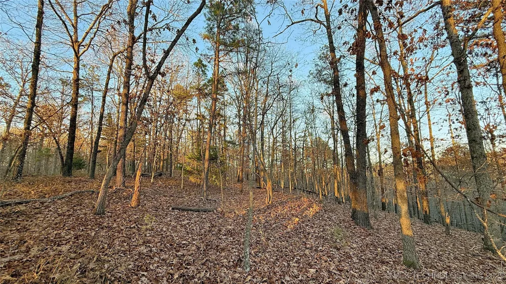 246 Red Fox Trail Kansas, OK 74347