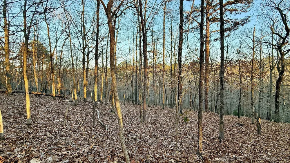 246 Red Fox Trail Kansas, OK 74347