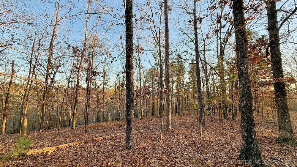 246 Red Fox Trail Kansas, OK 74347