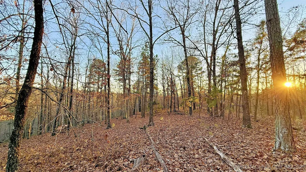 246 Red Fox Trail Kansas, OK 74347
