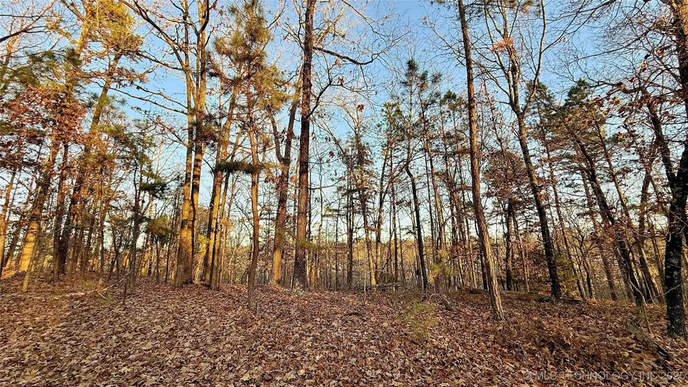246 Red Fox Trail Kansas, OK 74347